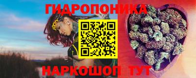 гидропоника Можайск