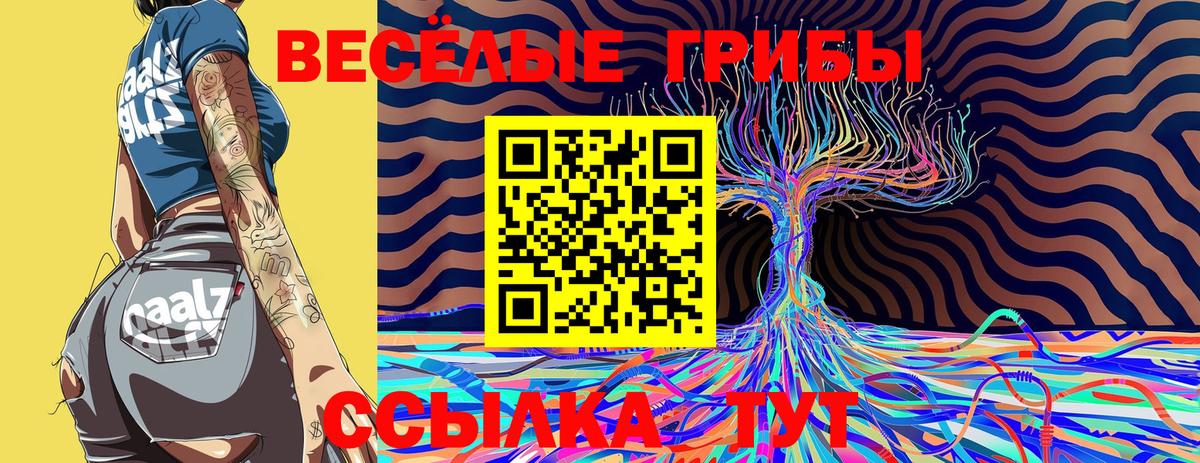 Пугачёв  купить наркотики сайты  Вход с VPN  Галлюциногенные грибы MAGIC MUSHROOMS 