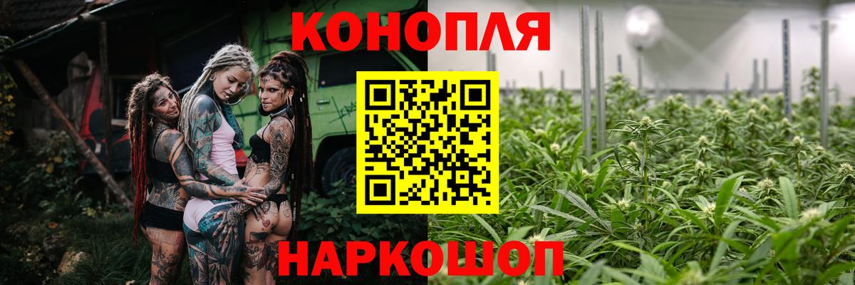 Конопля Bruce Banner  Канабис сатива  Каннабис Ganja  Пугачёв  Вход с VPN 